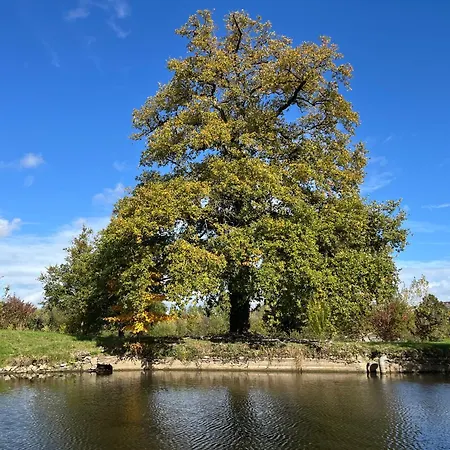 Le Manoir De La Vieille Douve ゲストハウス