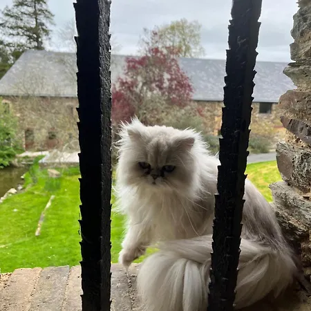 Le Manoir De La Vieille Douve 4*