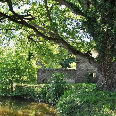 Le Manoir De La Vieille Douve