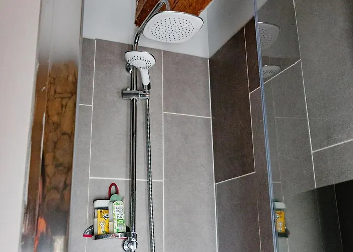 Le Manoir De La Vieille Douve